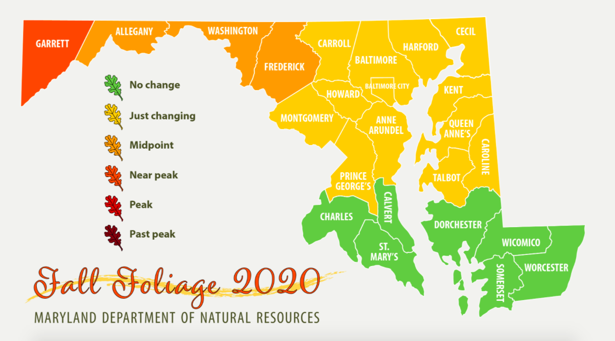 Maryland Fall Foliage Report for the first full week of October